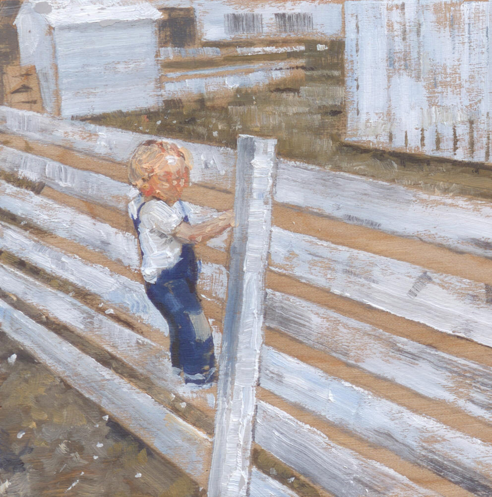 A Boy on a Fence
